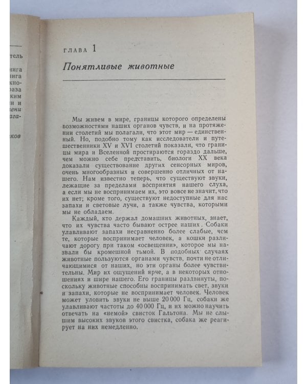 Чувства животных
