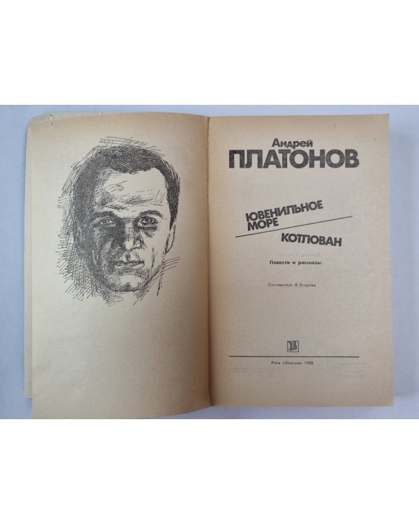 Ювенильное море. Котлован. Повести и рассказы