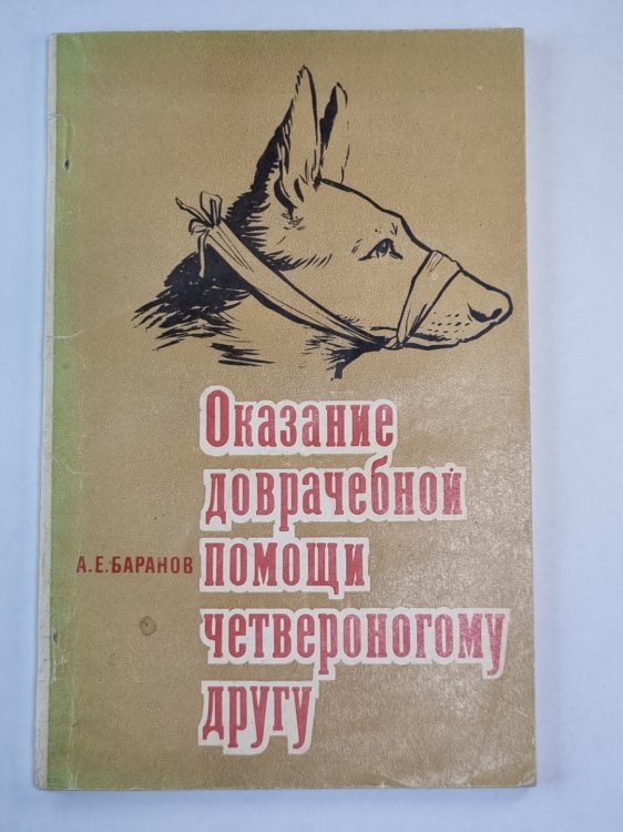 Оказание доврачебной помощи четвероногому другу