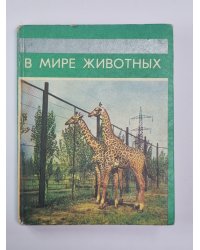 В мире животных