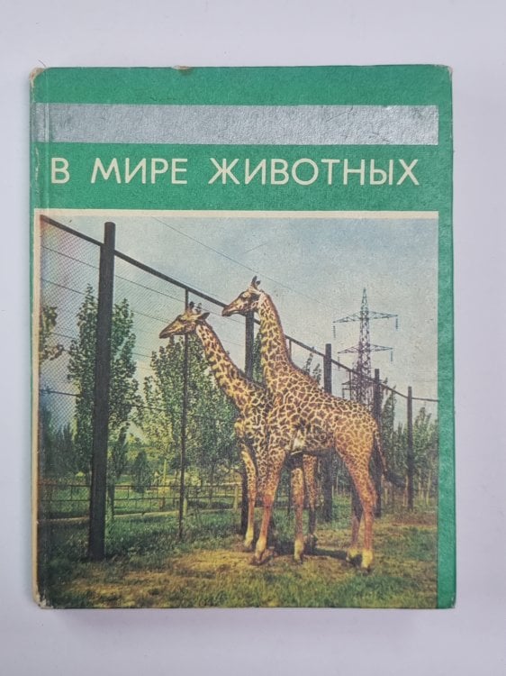 В мире животных