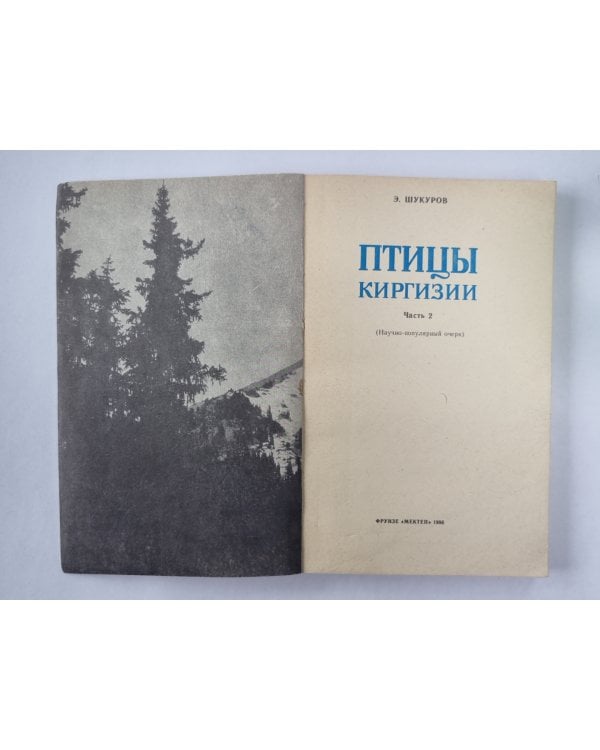 Птицы Киргизии. Часть 2