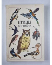 Птицы Киргизии. Часть 2