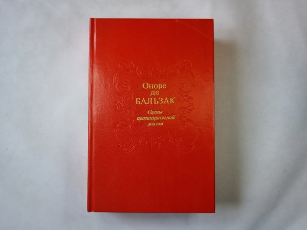 Сцены провинциальной жизни