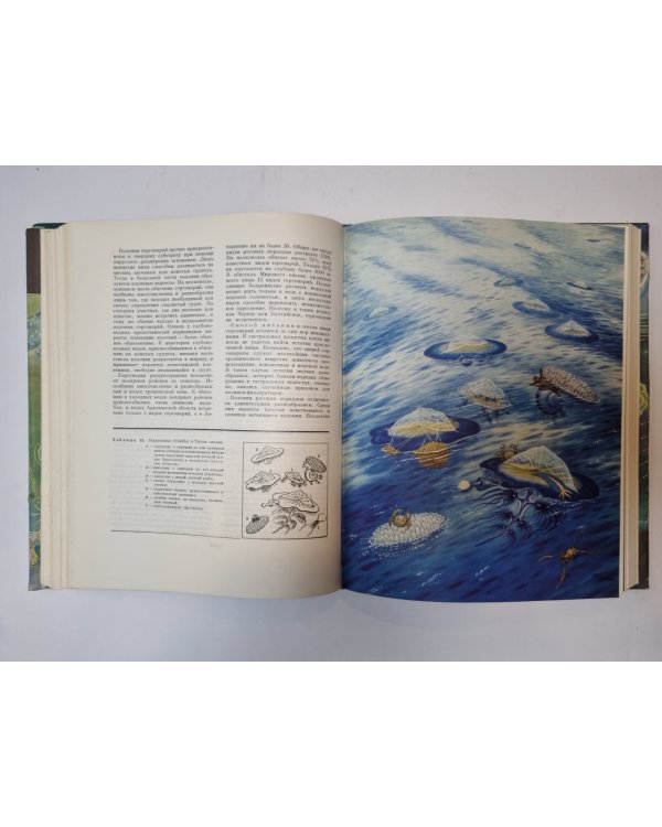 Жизни животных в шести томах. Том 1