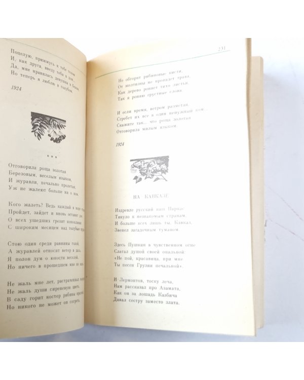 Стихотворения. Поэмы (Серия: "Классики и современники")