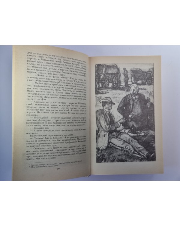 Беглые в Новороссии. Воля. Княжна Тараканова