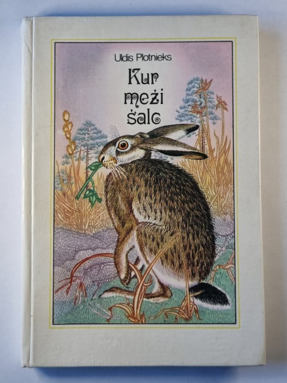 Kur meži sala