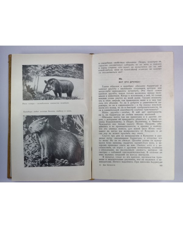 Дополнительное изображение книги «Зов Амазонки. Канада, пахнущая смолой. горячее селение Амбинанитело»