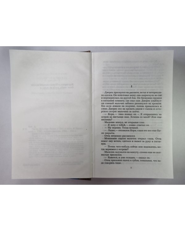Сыны Амарида