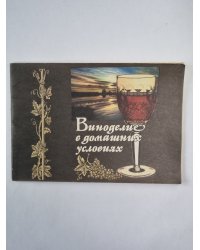 Виноделие в домашних условиях