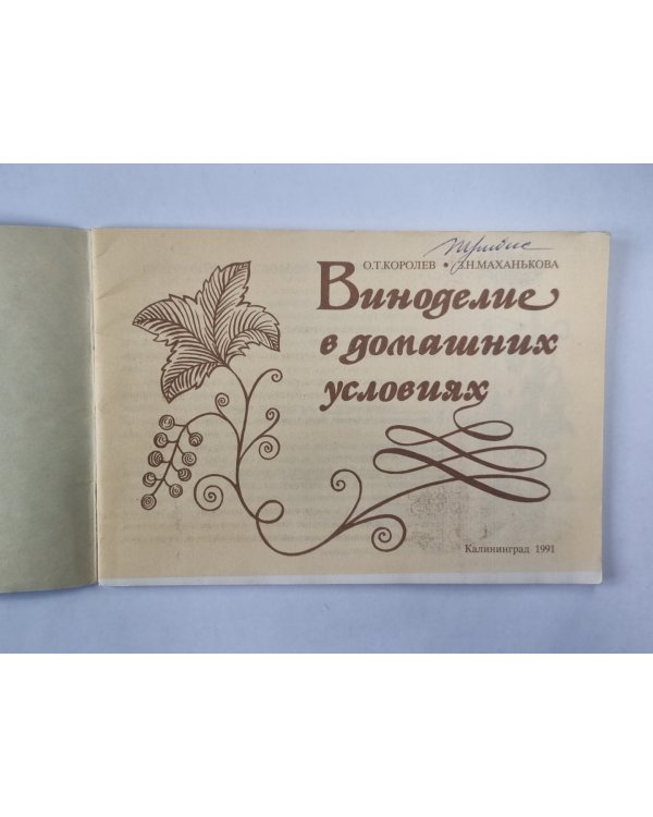 Виноделие в домашних условиях
