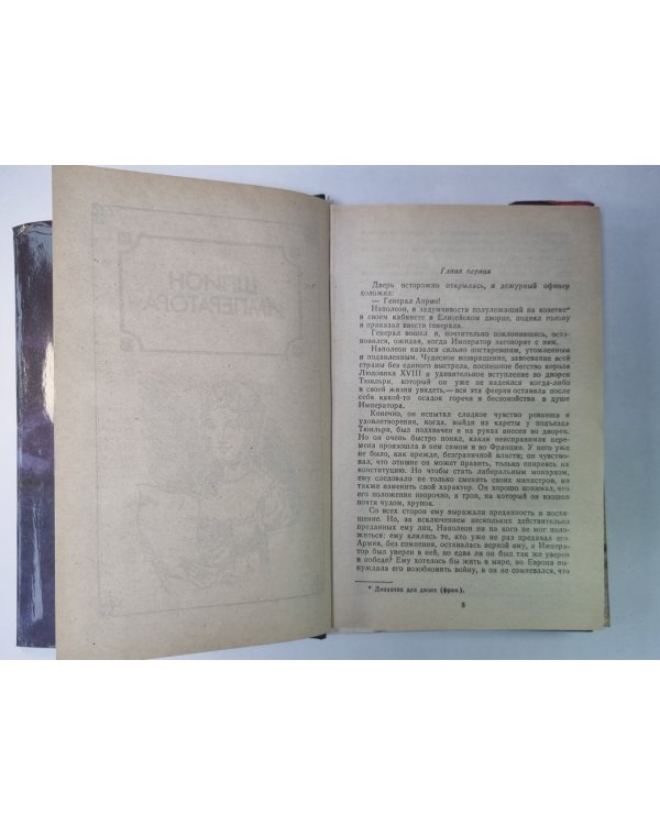 Шпион императора. Мученик Англичан. Наследник великой Франции