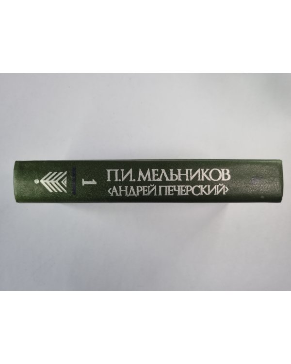 В лесах. Книга 1