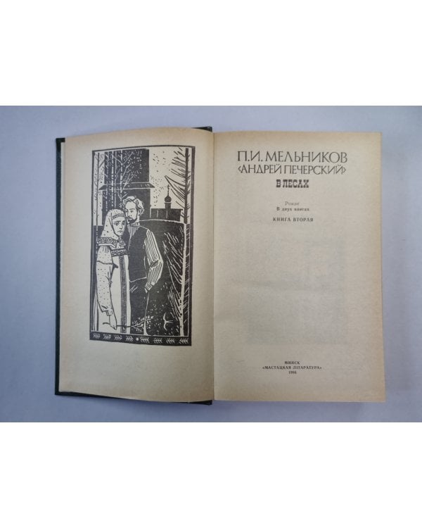 В лесах. Книга 2
