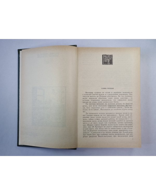 В лесах. Книга 2