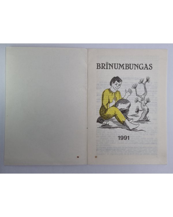 Brīnumbungas. Rūķu pasakas