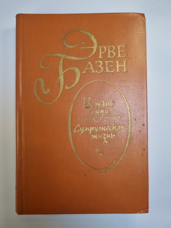 Встань и иди. Супружеская жизнь