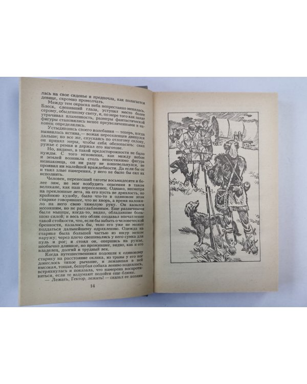 Прерия
