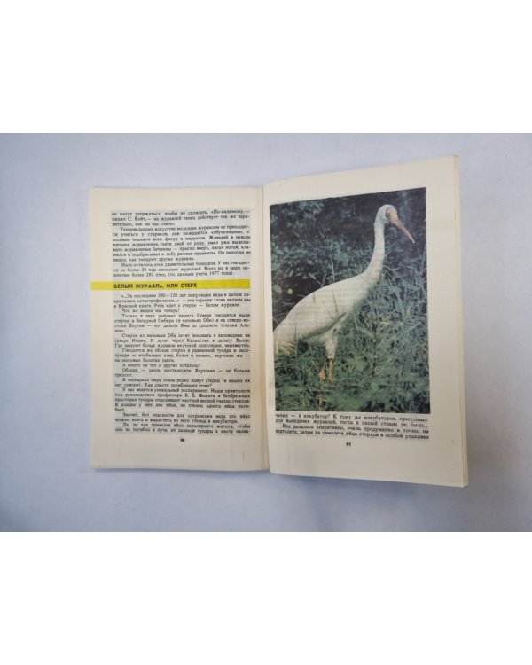 Причуды природы 1. "Зеленая полка" - Приложение к журналу "Юный натуралист"
