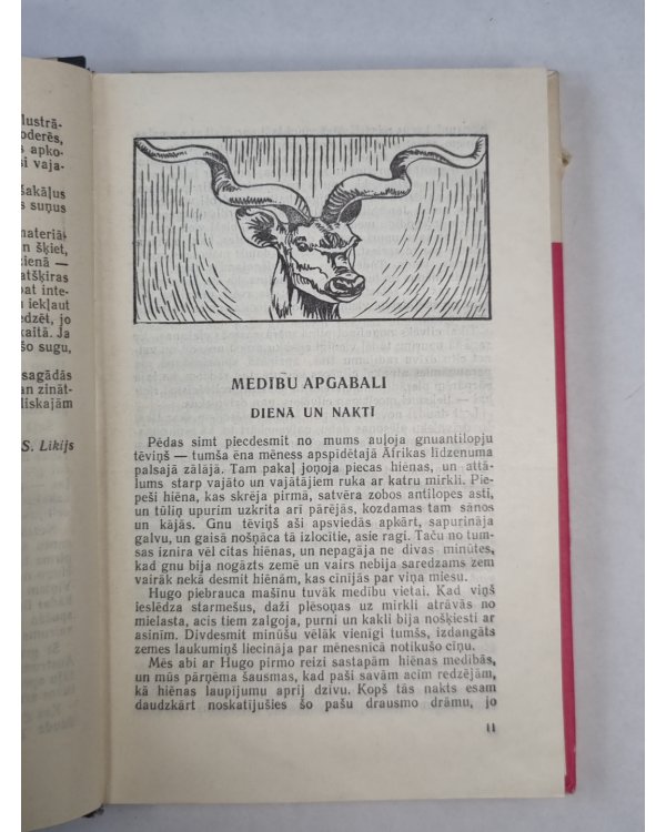 Bezvainīgie slepkavas