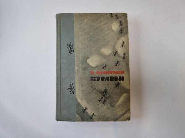 Муравьи