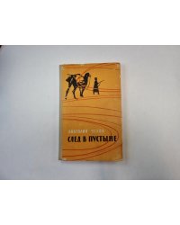 След в пустыне