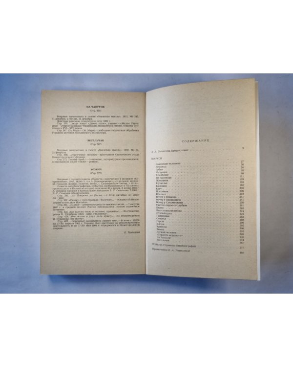 По Руси. Хозяин