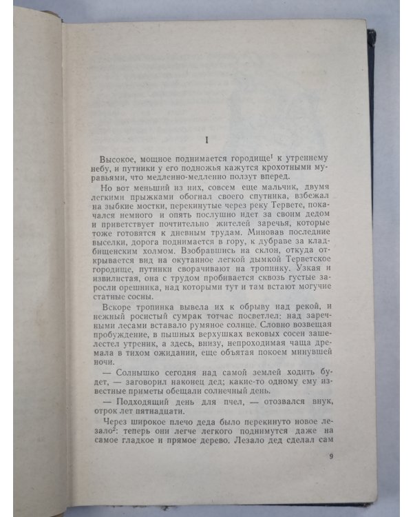 Пылающее городище