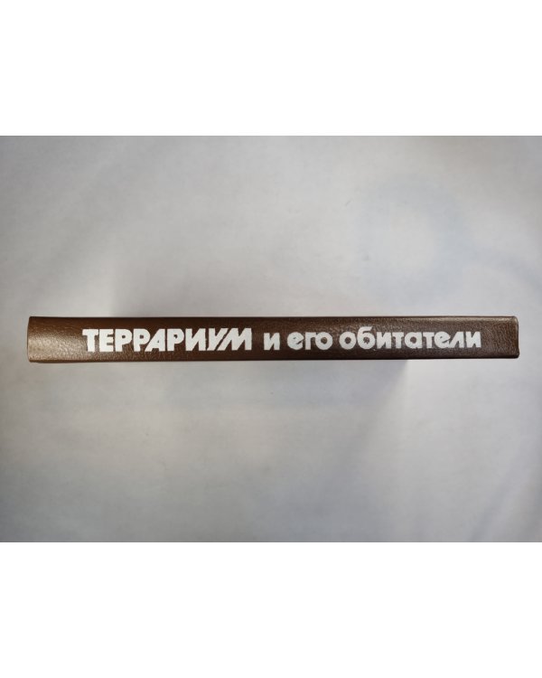Террариум и его обитатели