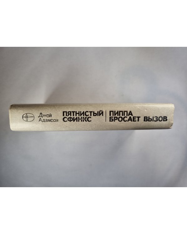 Пятнистый сфинкс. Пиппа бросает вызов