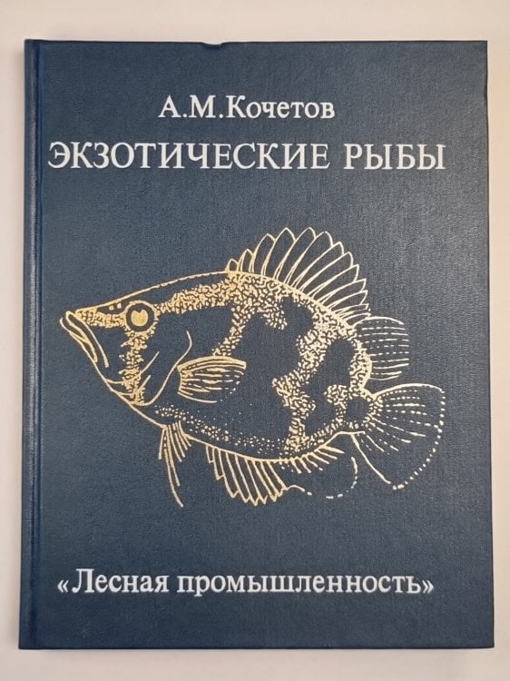 Экзотические рыбы