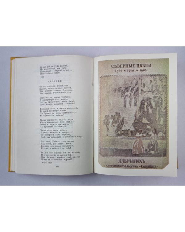 В.Я.Брюсов. Избранные сочинения