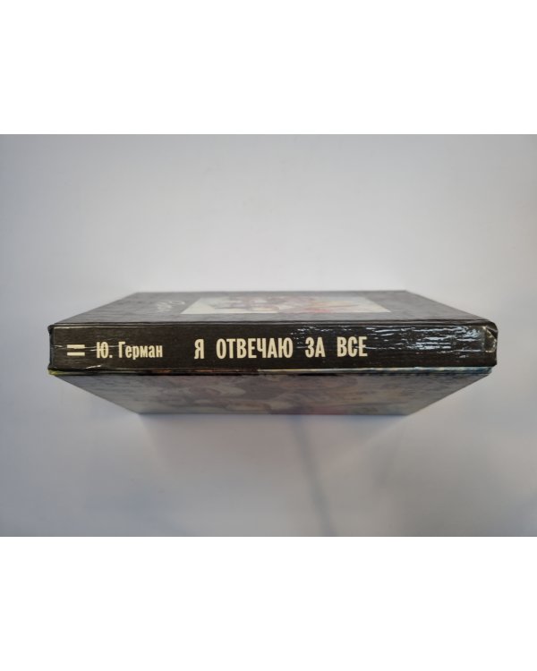 Я отвечаю за все. Роман в двух книгах. Книга 2
