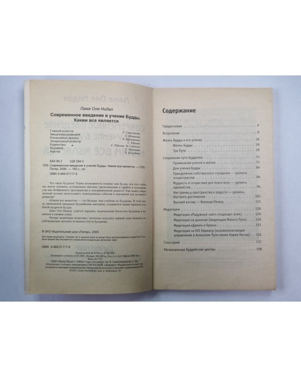 Современное введение в учение Будды. Каким всё является