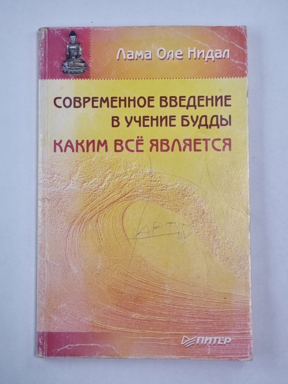 Современное введение в учение Будды. Каким всё является