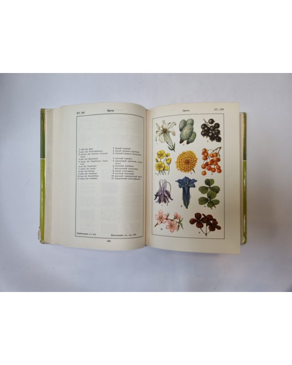 Иллюстрированный словарь на немецком и русском языках