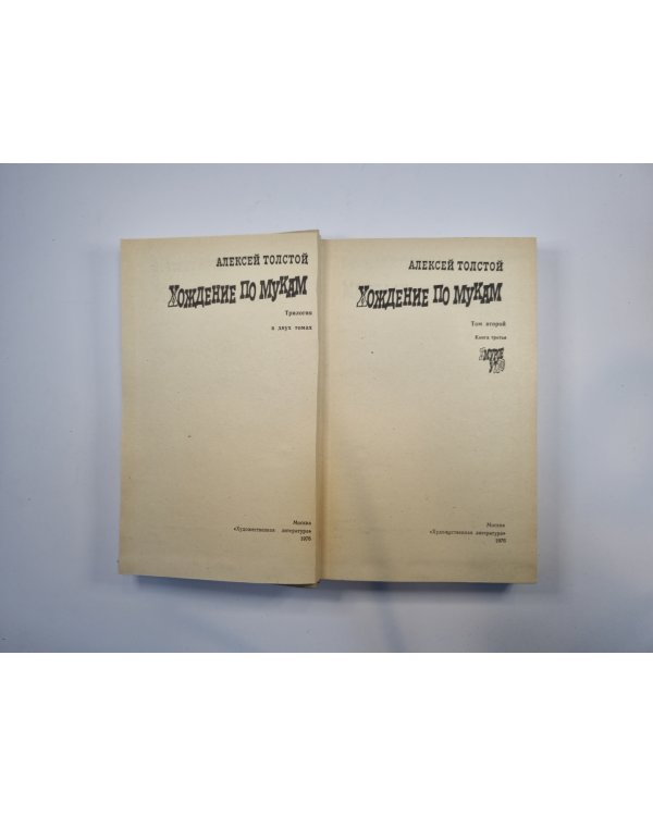 Хождение по мукам. Трилогия в двух томах. Том 2