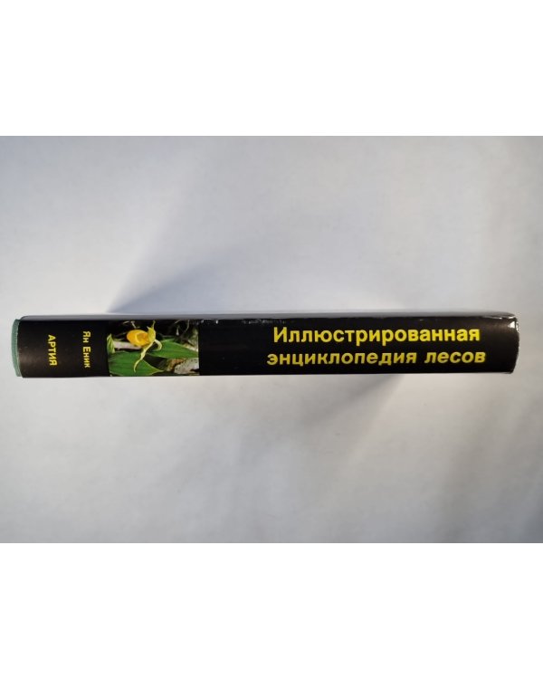 Иллюстрированная энциколпедия лесов
