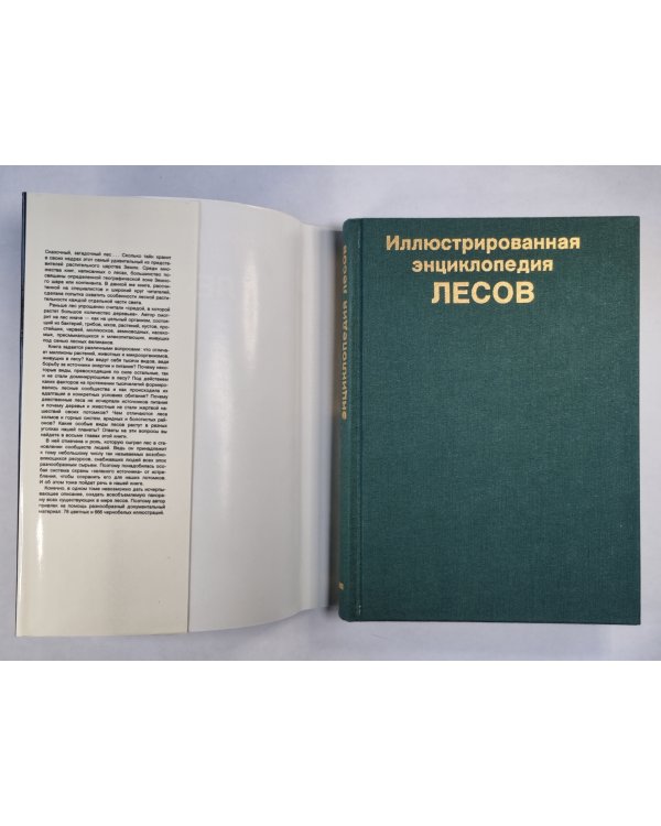 Иллюстрированная энциколпедия лесов