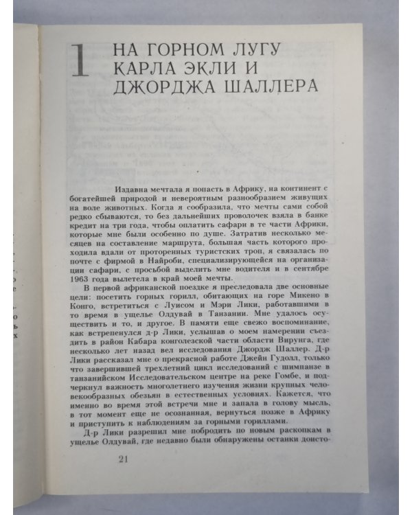 Гориллы в тумане