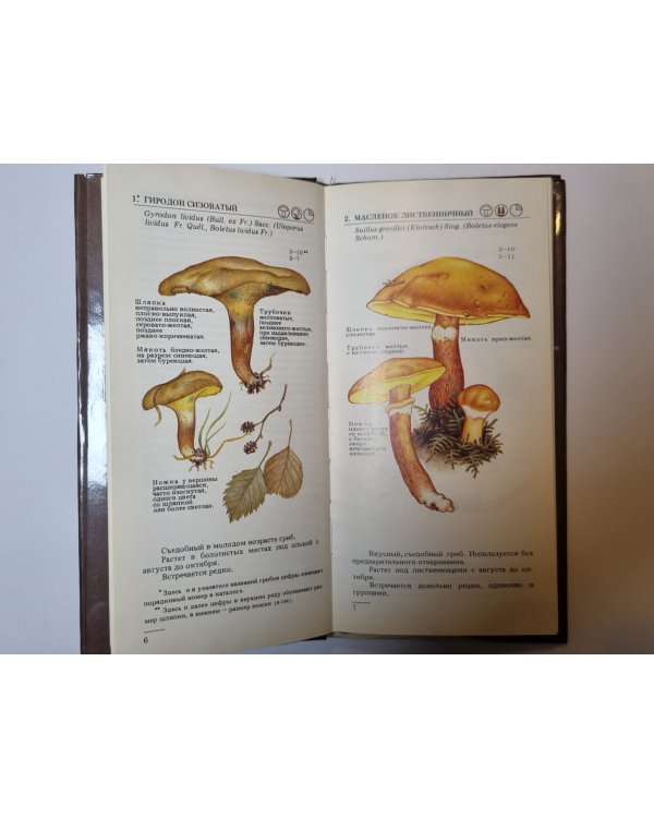 Дополнительное изображение книги «Грибы: Каталог выставки. Часть 1»