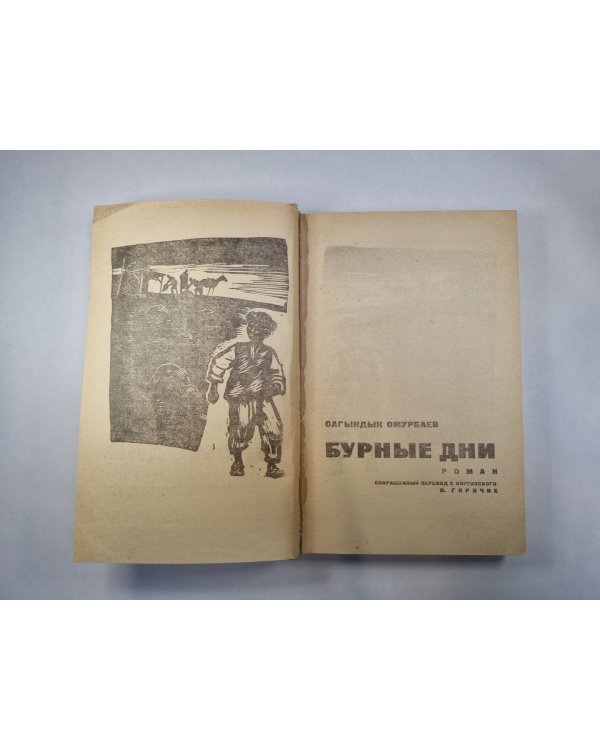Бурные дни