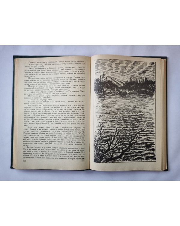 Ветер жизни. Книга первая