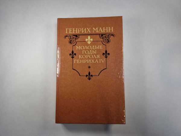 Молодые годы короля Генриха IV