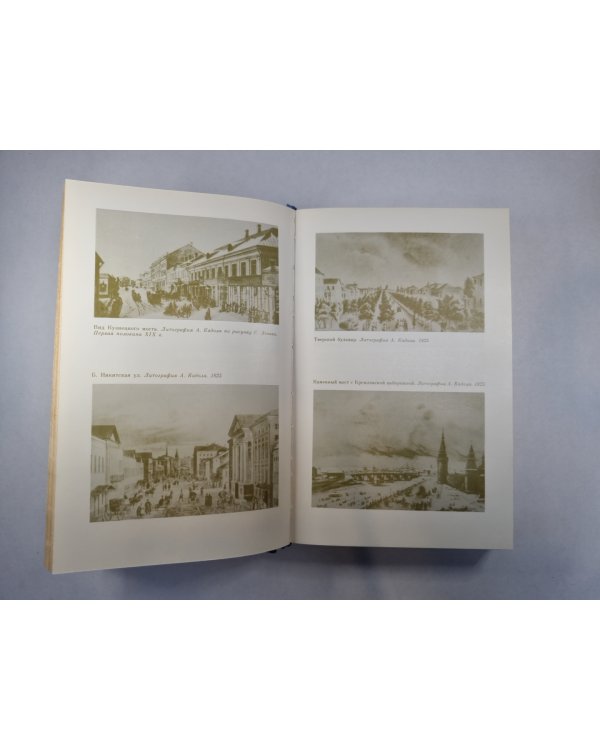 В царстве муз: Московский литературный салон Зинаиды Волконской. 1824-1829 гг.