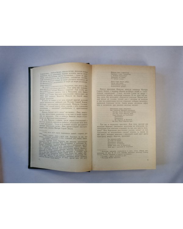 В лесах. Роман в 2-х книгах. Книга вторая