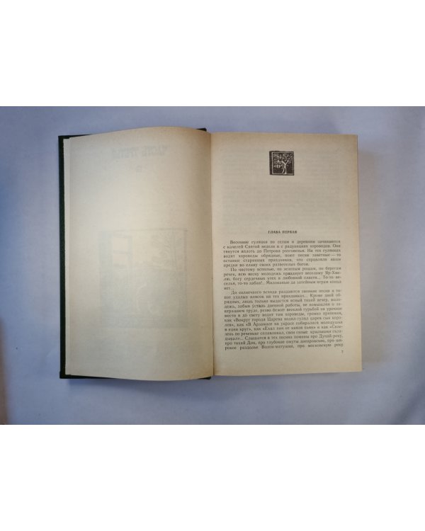 В лесах. Роман в 2-х книгах. Книга вторая
