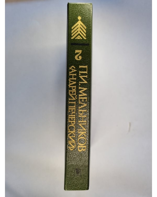 В лесах. Роман в 2-х книгах. Книга вторая