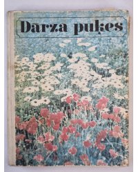Dārza puķes